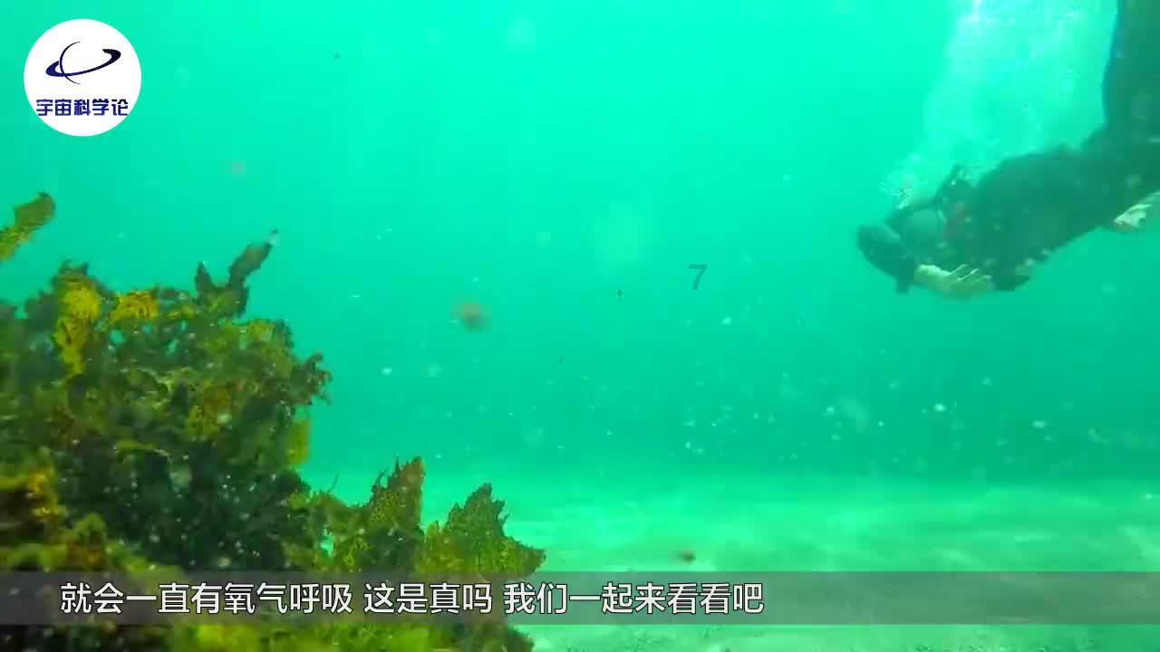 北欧战神